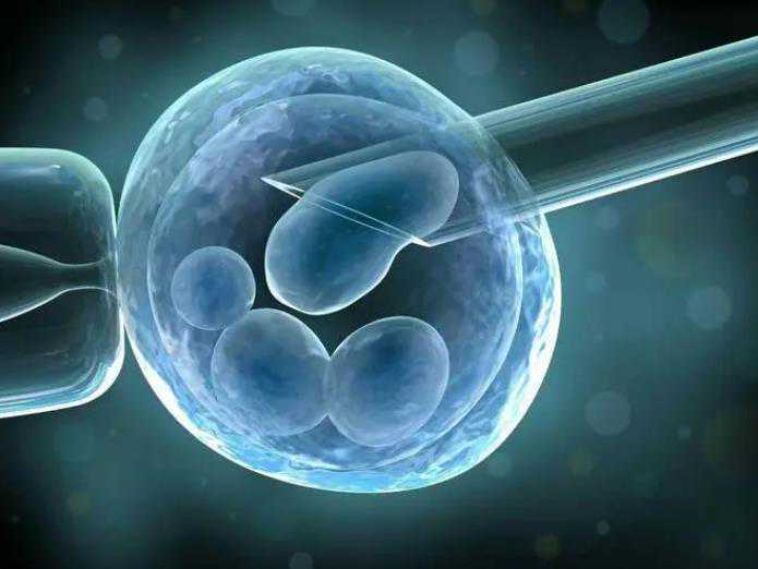 郑州代生科普：试管婴儿一直老放屁（试管婴儿移植后老放屁是什么原因）-2026版